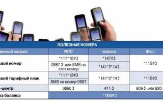Справочник МТС Беларусь: база клиентов и как узнать номер человека