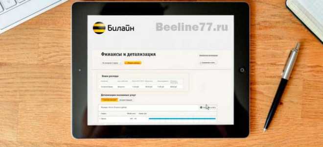 Детализация звонков на Билайне: как получить распечатку звонков и SMS
