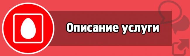 opisanie-uslugi.png